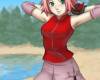Sakura